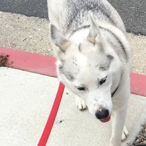 Meet your Posher, Logan